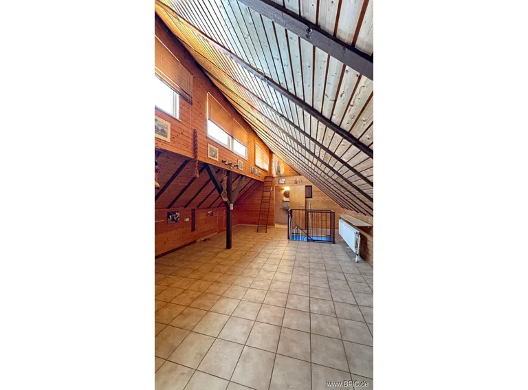 DG Studio