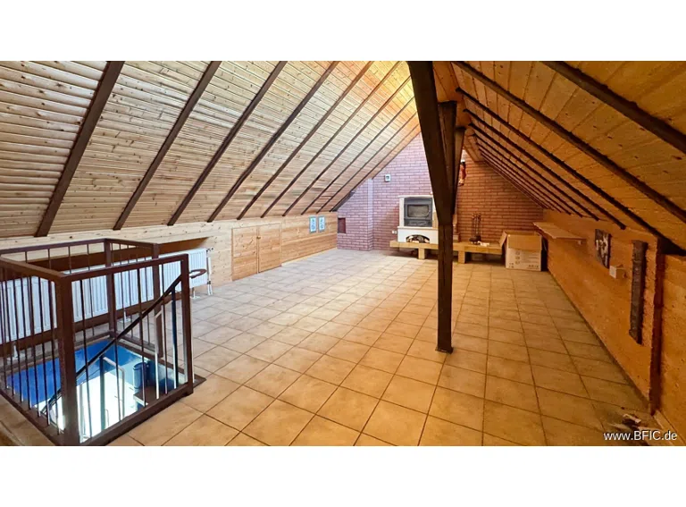 DG Studio