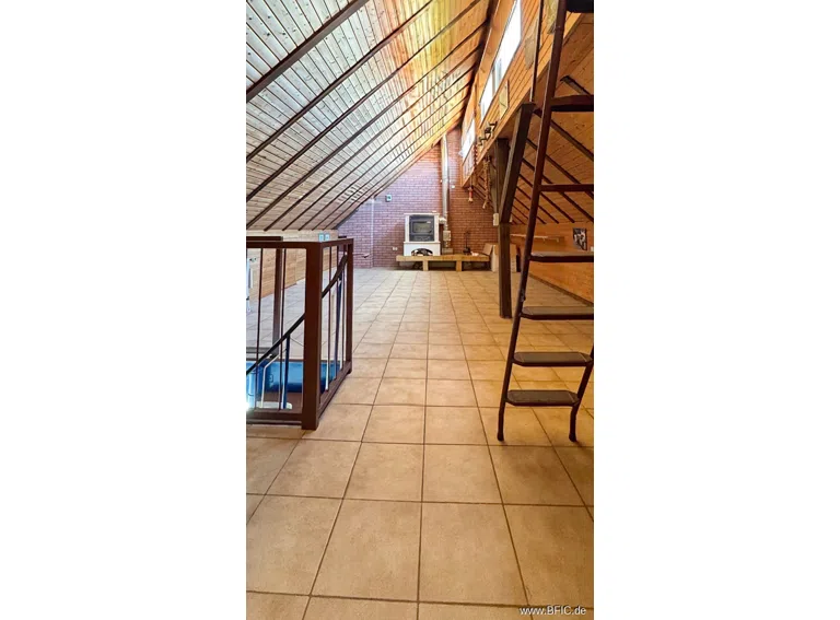 DG Studio