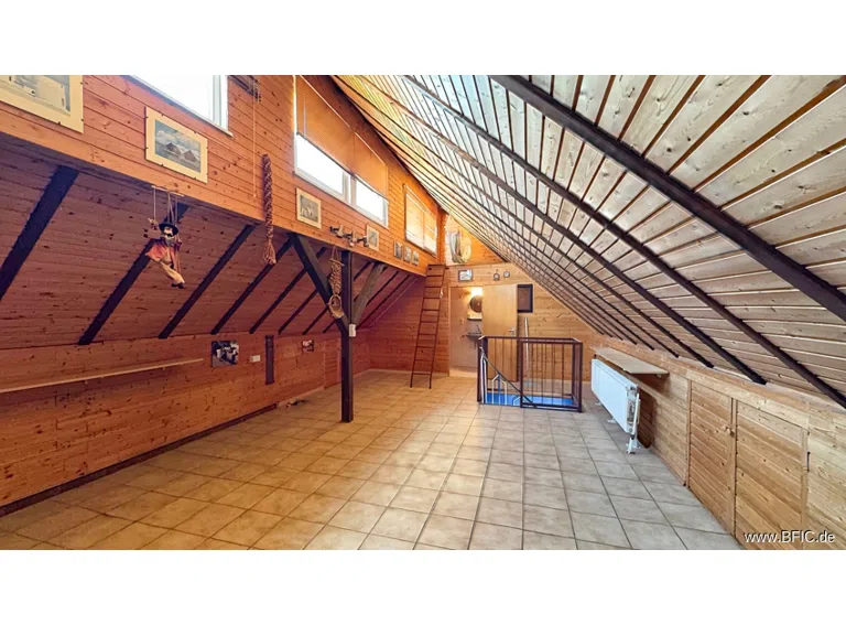 DG Studio