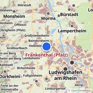 Kartenvorschau Frankenthal (Pfalz)