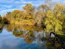 Natur 2