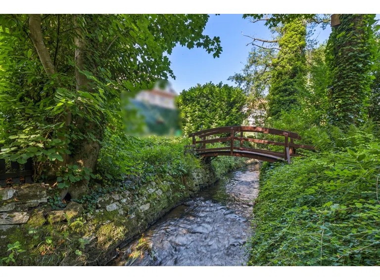 Bachlauf
