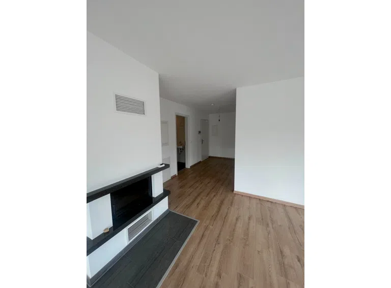 Diele-Kamin
