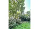 Garten-Umgebung