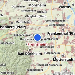 Kartenvorschau Freinsheim