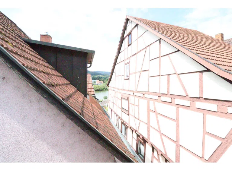 Blick auf den Main - vom Balkon
