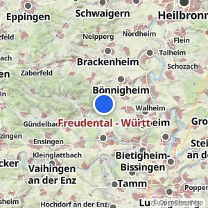 Kartenvorschau Freudental - Württ