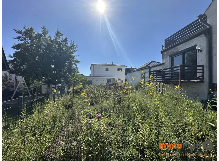 Garten jpg