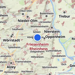 Kartenvorschau Friesenheim - Rheinhess