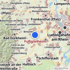 Kartenvorschau Fußgönheim