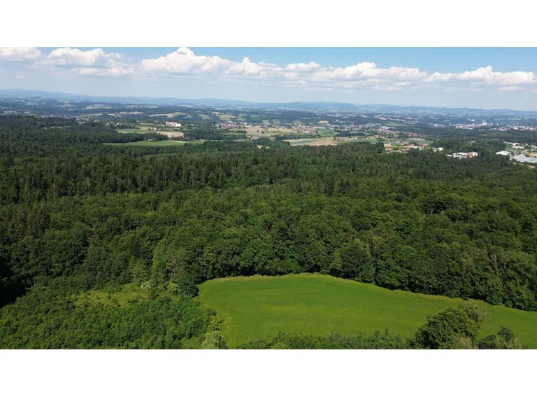 Luftbild Panorama