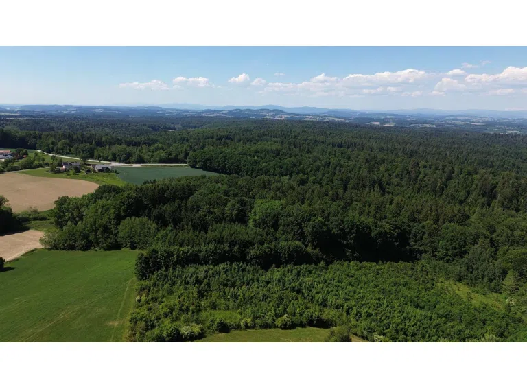 Luftbild Panorama