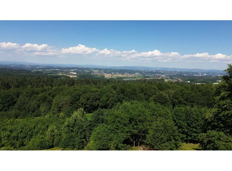 Luftbild Panorama