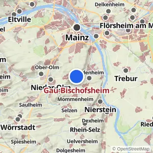 Kartenvorschau Gau-Bischofsheim