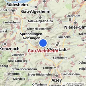 Kartenvorschau Gau-Weinheim