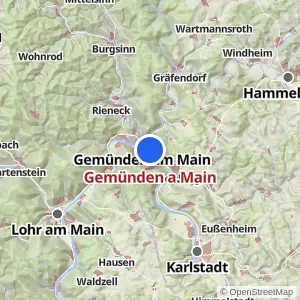 Kartenvorschau Gemünden a.Main