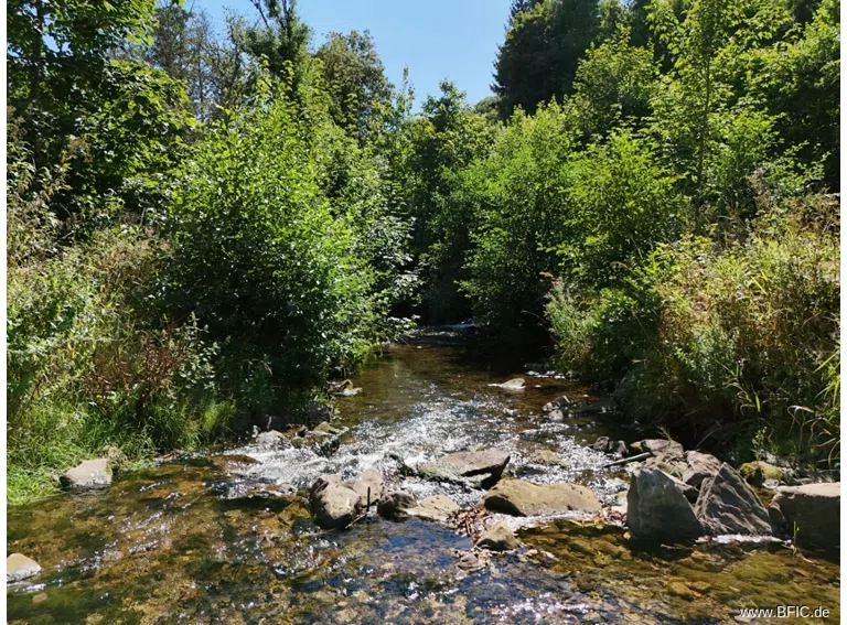 Fluss Oos