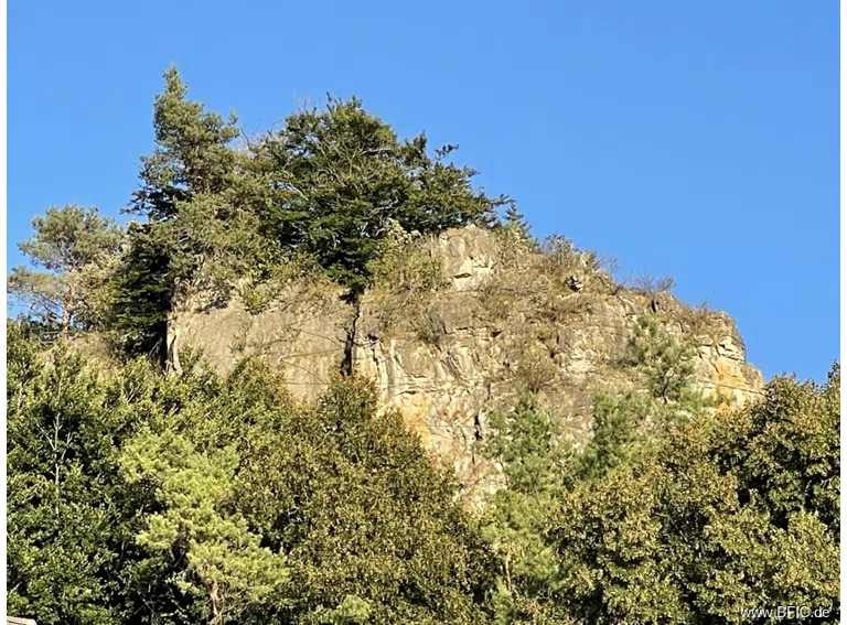 Umgebung