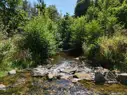 Fluss Oos