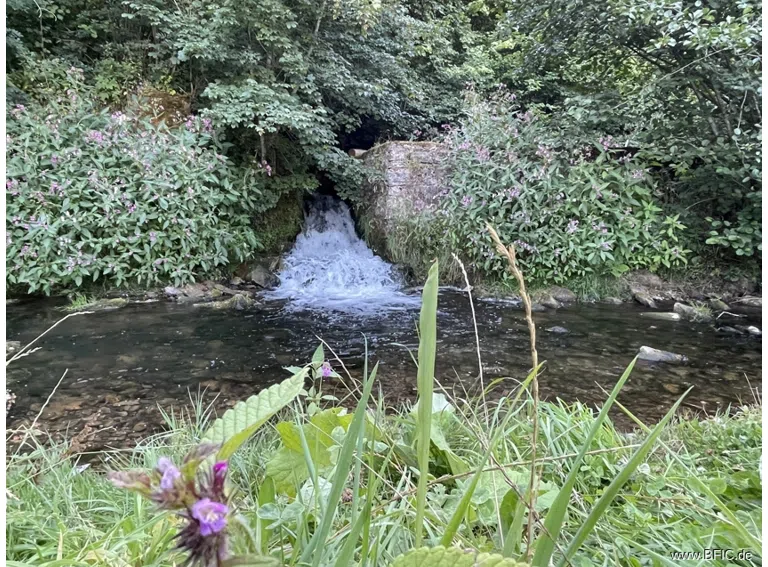 Fluss Oos
