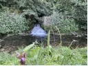 Fluss Oos