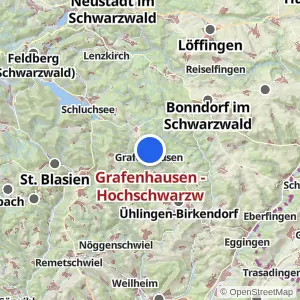 Kartenvorschau Grafenhausen - Hochschwarzw