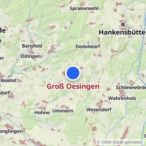 Kartenvorschau Groß Oesingen