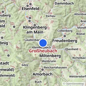 Kartenvorschau Großheubach