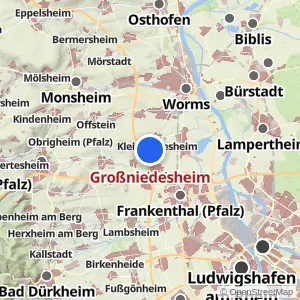 Kartenvorschau Großniedesheim