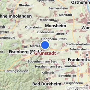 Kartenvorschau Grünstadt