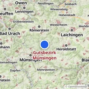 Kartenvorschau Gutsbezirk Münsingen