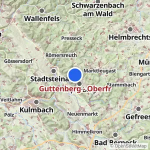 Kartenvorschau Guttenberg - Oberfr