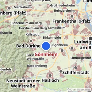 Kartenvorschau Gönnheim