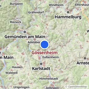 Kartenvorschau Gössenheim