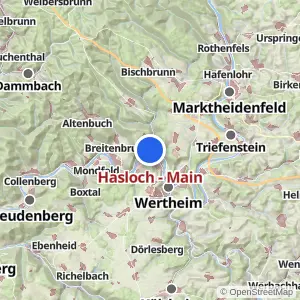 Kartenvorschau Hasloch - Main