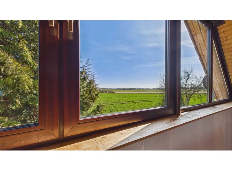 Blick in die Natur