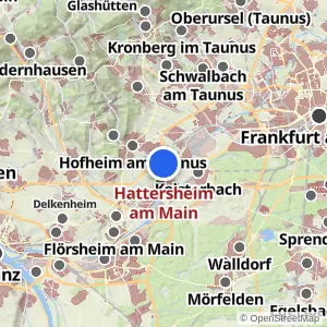 Kartenvorschau Hattersheim am Main
