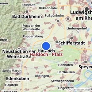 Kartenvorschau Haßloch - Pfalz