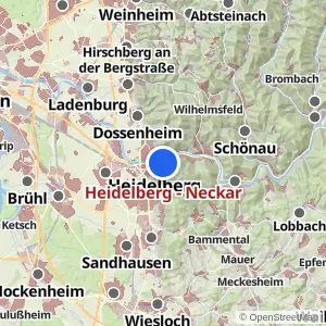 Kartenvorschau Heidelberg - Neckar