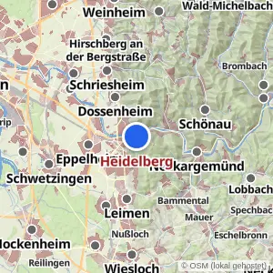Kartenvorschau Heidelberg