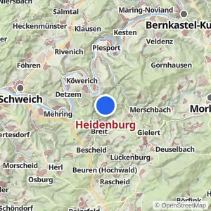 Kartenvorschau Heidenburg