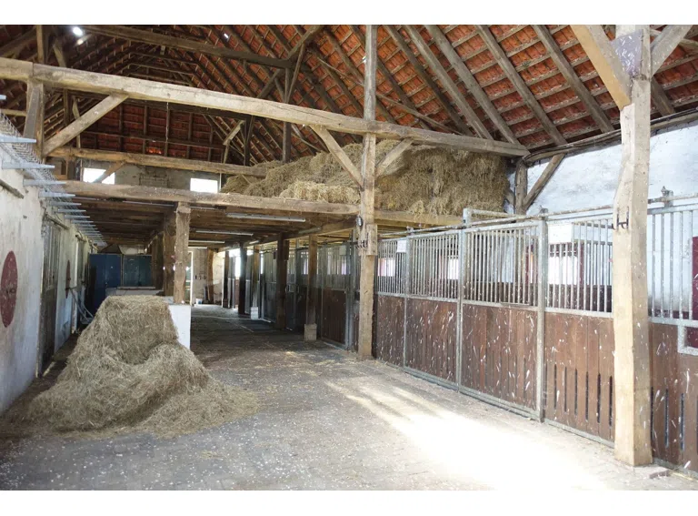 Stallanlage