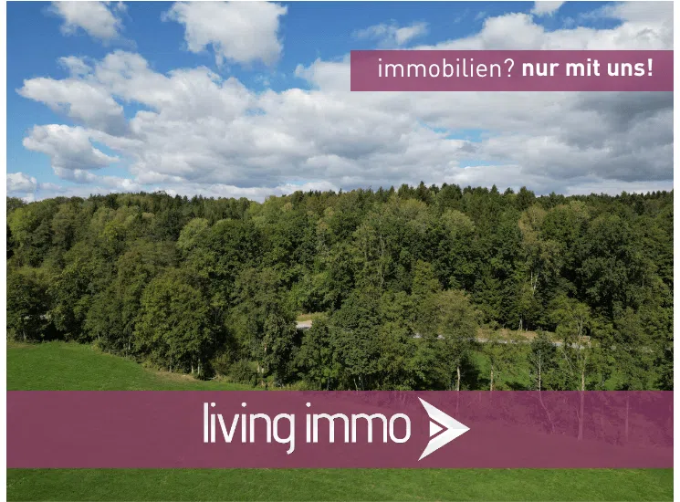 Mischwald