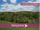 Mischwald