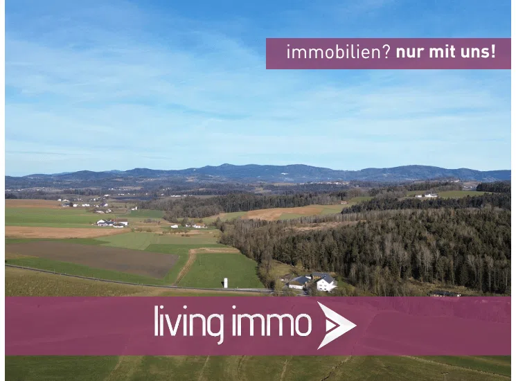 Vorlage Startbild Normal Logo und Fenster living immo Farbe (25)