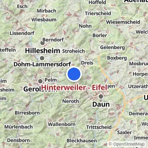 Kartenvorschau Hinterweiler - Eifel