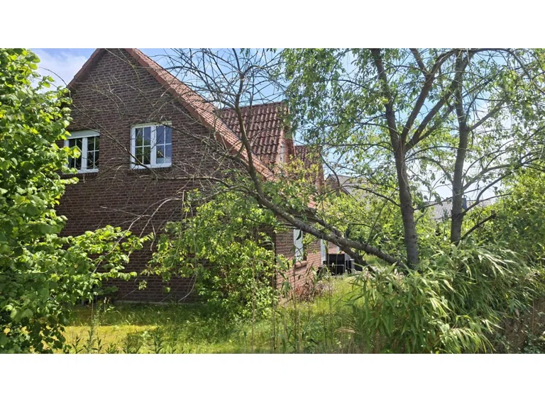 Seitenansicht