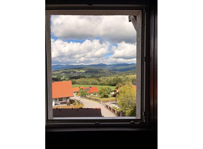 Ausblick
