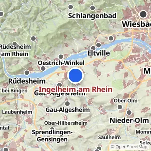 Kartenvorschau Ingelheim am Rhein